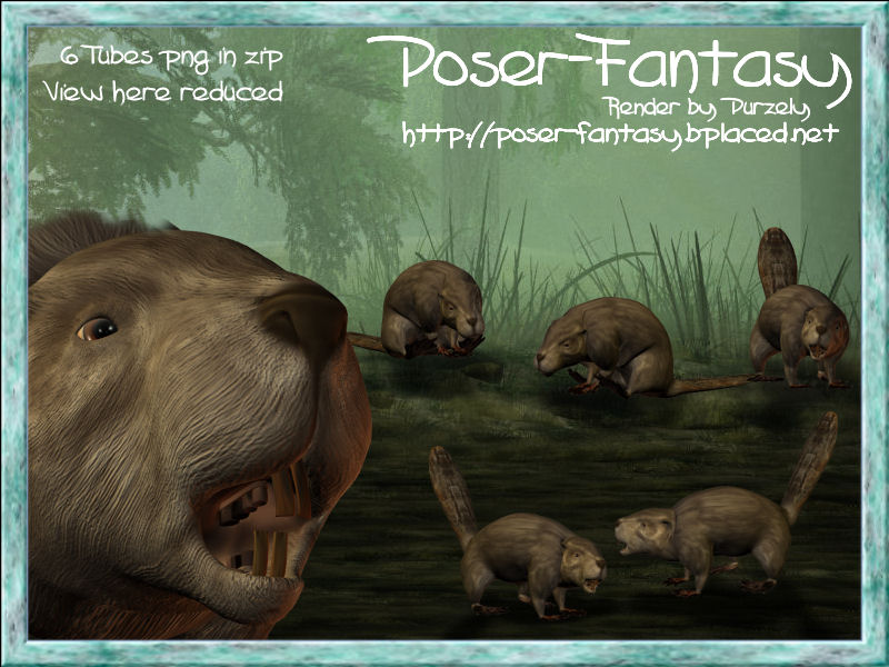 Beaver Set 01
