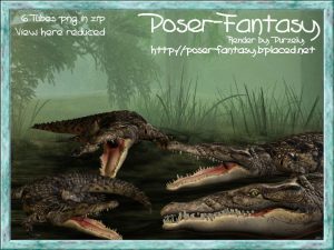Croco Set02